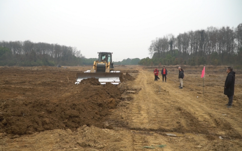 2月1日，武漢市梁子湖風景區保福村高標準農田建設現場。陳雪瑩攝